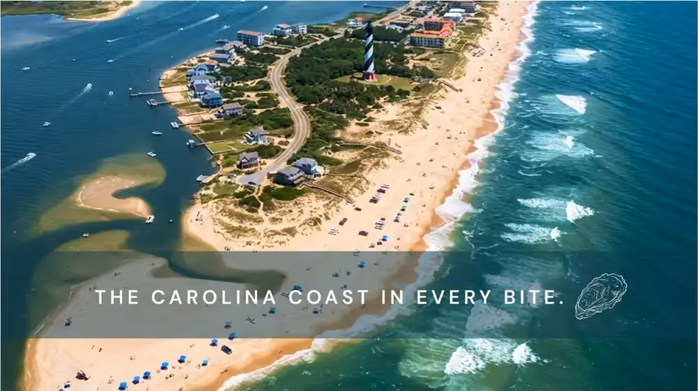 Carolina Oyster artwork: aerial view of the coast, ‘The Carolina coast in every bite’